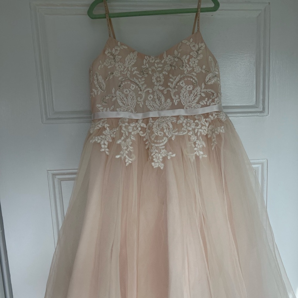 Floral Applique Spaghetti Strap Flower Girl Dress
DAVID'S BRIDAL - size 6